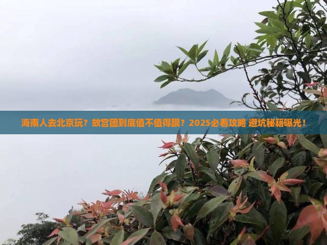 海南省直辖去北京故宫博物院大型旅游团 海南省直辖去北京故宫博物院大型旅游团