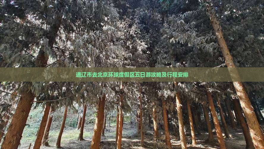 通辽市去北京环球度假区五日游