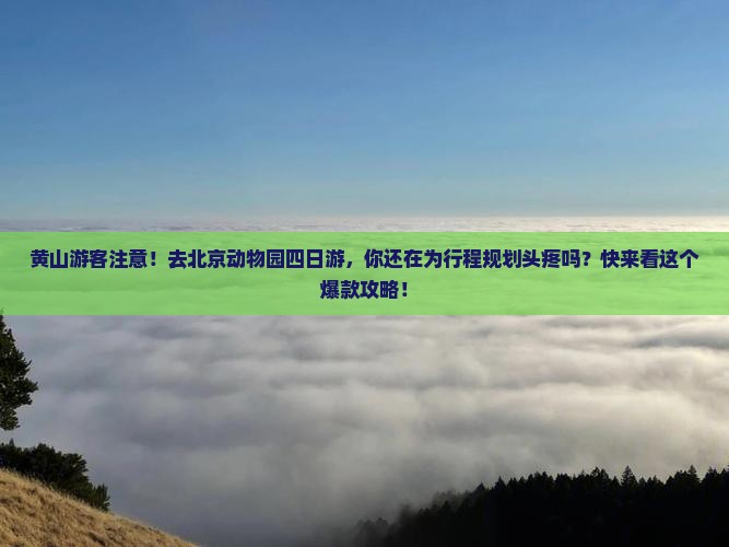 黄山去北京动物园四日游