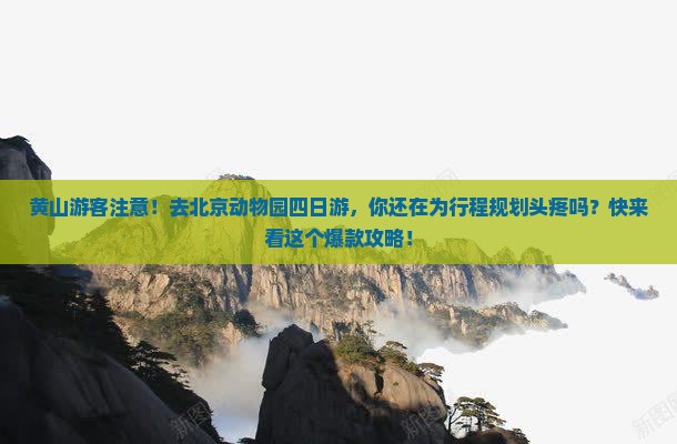 黄山去北京动物园四日游