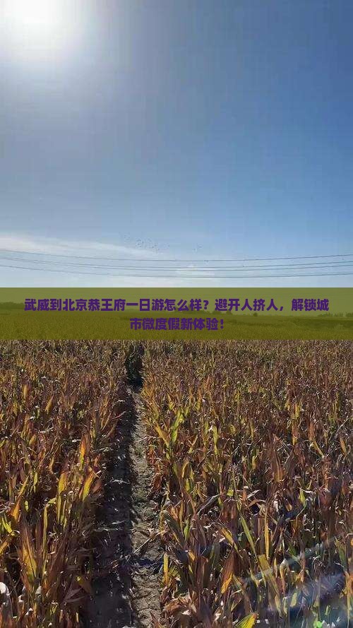 武威到北京恭王府一日游
