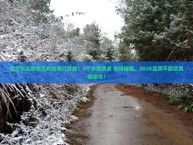 吴忠去北京恭王府自由行