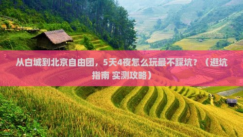白城到北京自由团