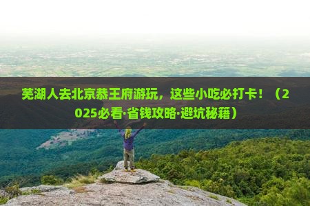 芜湖去北京恭王府旅游小吃
