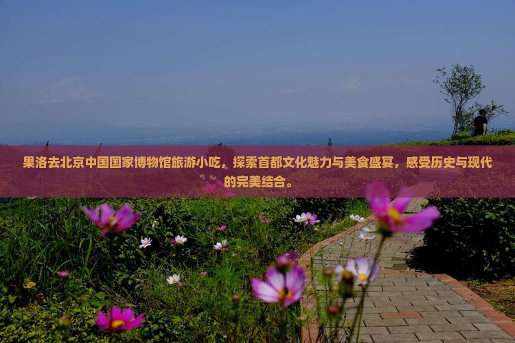 果洛去北京中国国家博物馆旅游小吃