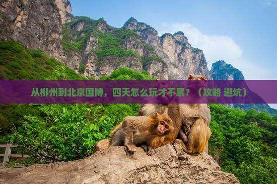 柳州到北京中国国家博物馆四日游