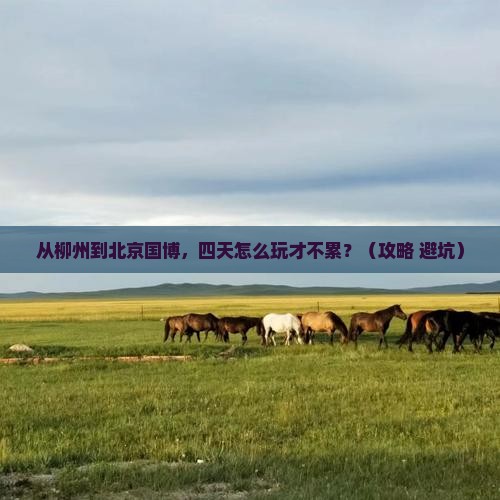 柳州到北京中国国家博物馆四日游