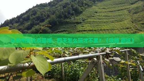 柳州到北京中国国家博物馆四日游