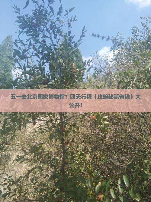 劳动节到北京中国国家博物馆四日游