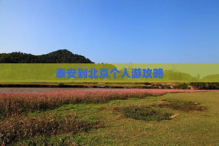 泰安到北京个人游