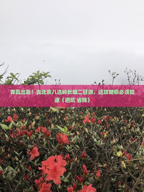 青岛到北京八达岭长城二日游 青岛到北京八达岭长城二日游