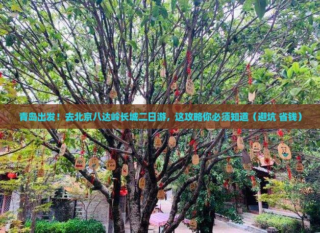 青岛到北京八达岭长城二日游 青岛到北京八达岭长城二日游