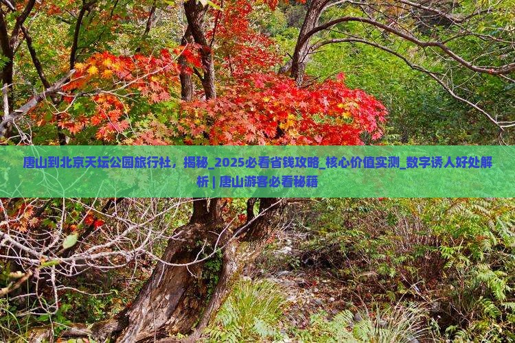 唐山到北京天坛公园旅行社