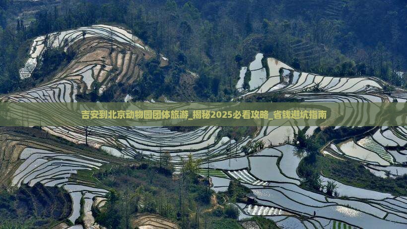 吉安到北京动物园团体旅游