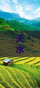 天水去北京颐和园一日游