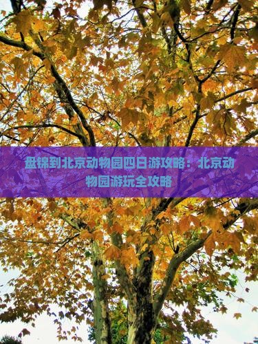 盘锦到北京动物园四日游