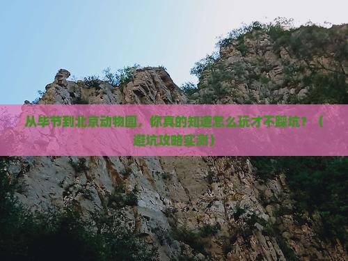 毕节到北京动物园旅行社