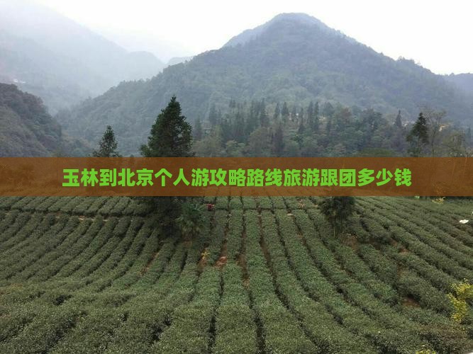 玉林到北京个人游