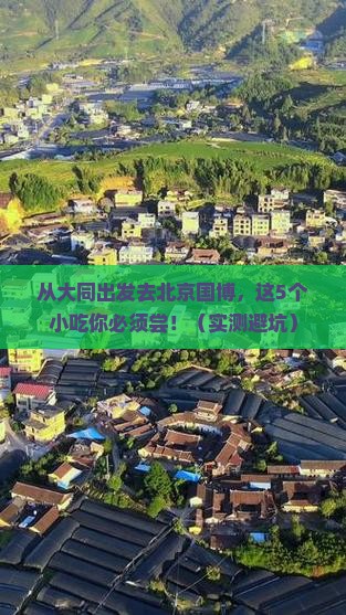 大同去北京中国国家博物馆旅游小吃