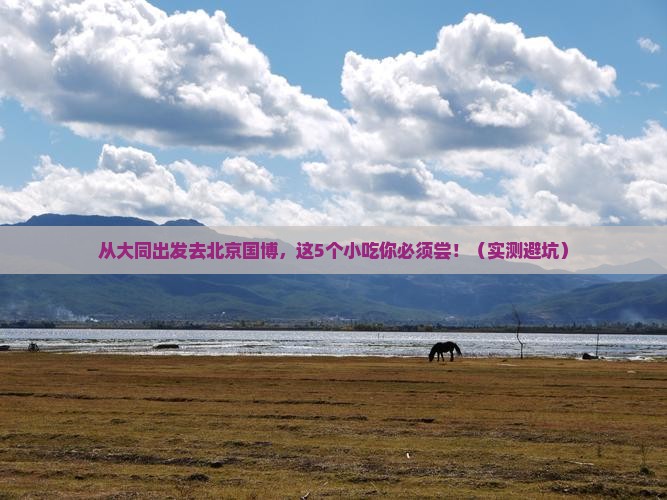 大同去北京中国国家博物馆旅游小吃