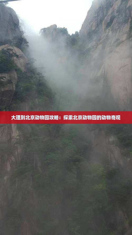 大理到北京动物园攻略