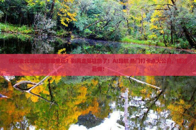 怀化去北京动物园哪里玩