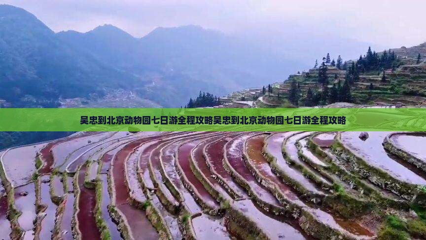 吴忠到北京动物园七日游