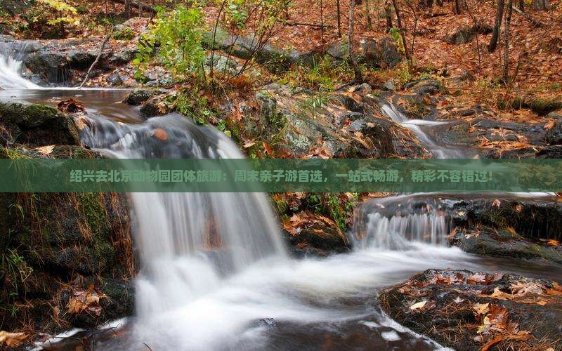 绍兴去北京动物园团体旅游