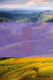 思茅去北京旅游小吃