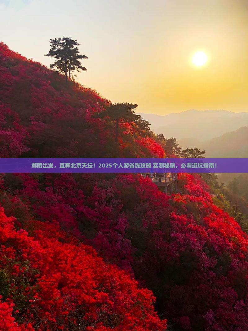 鄢陵县去北京天坛公园个人游