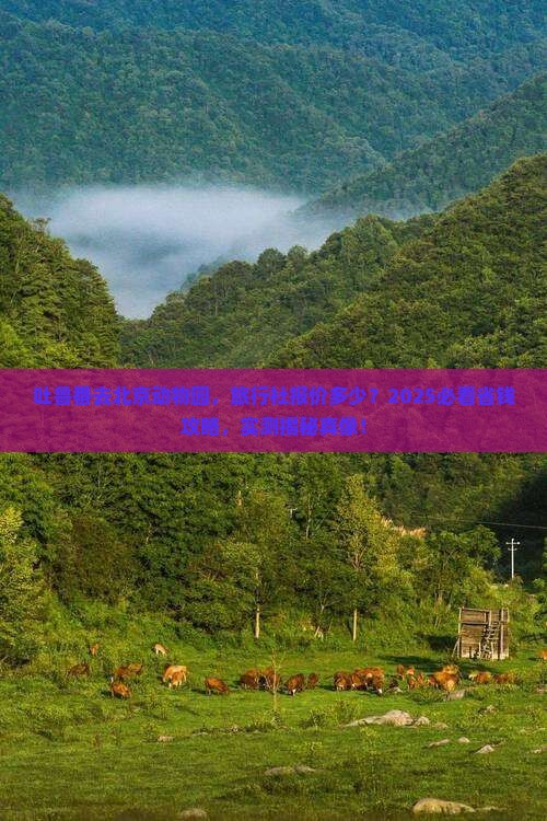 吐鲁番去北京动物园旅行社