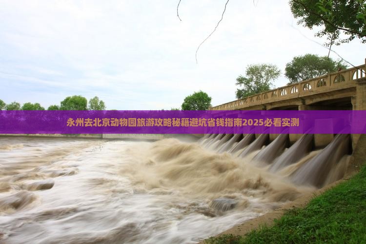 永州去北京动物园旅游