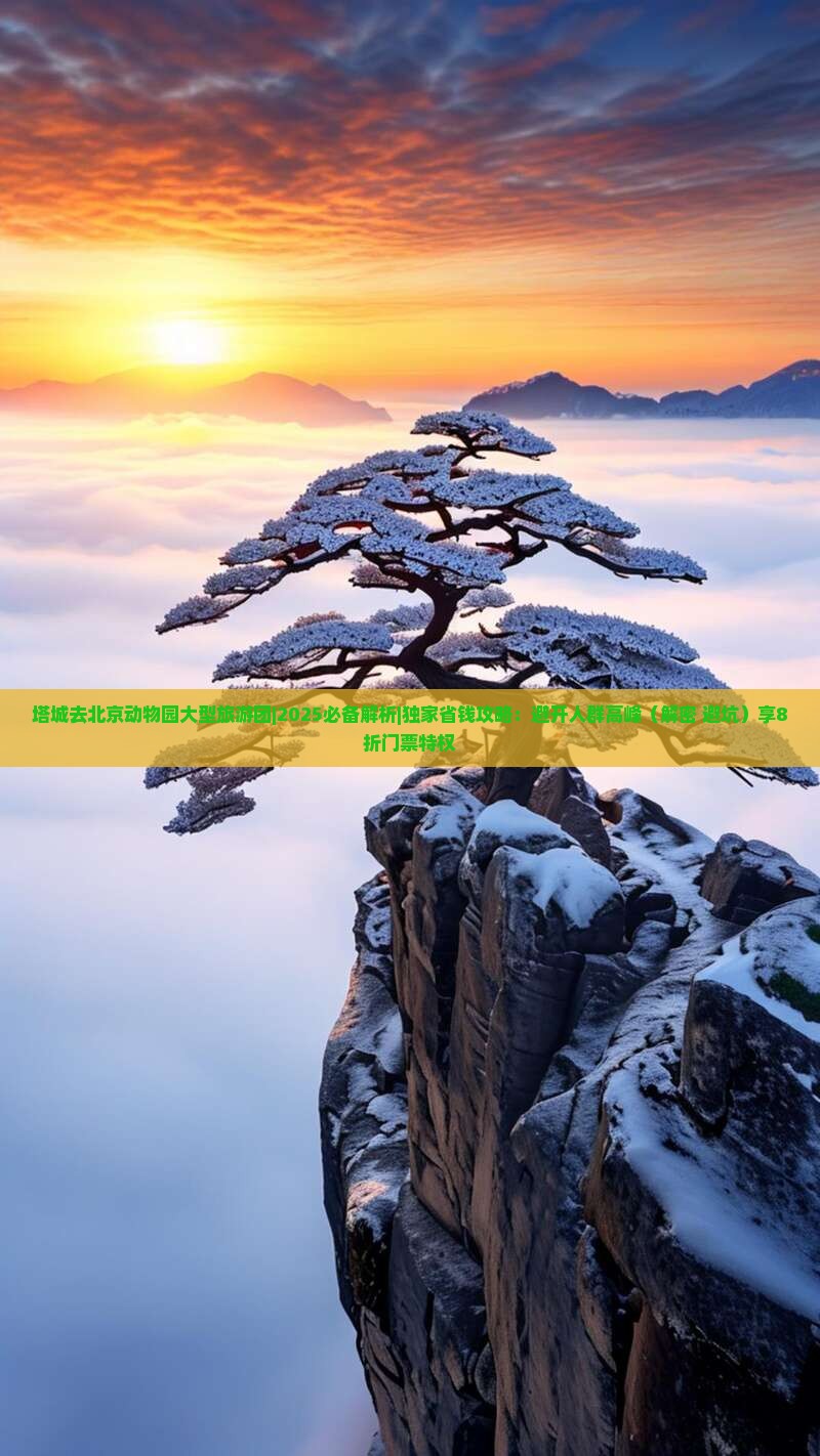 塔城去北京动物园大型旅游团