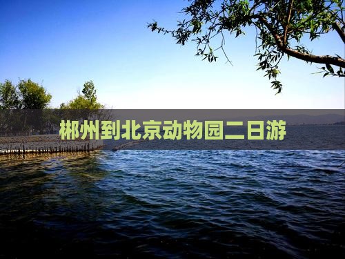 郴州到北京动物园二日游