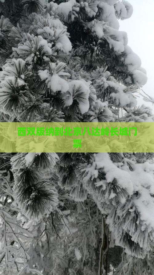 西双版纳到北京八达岭长城门票