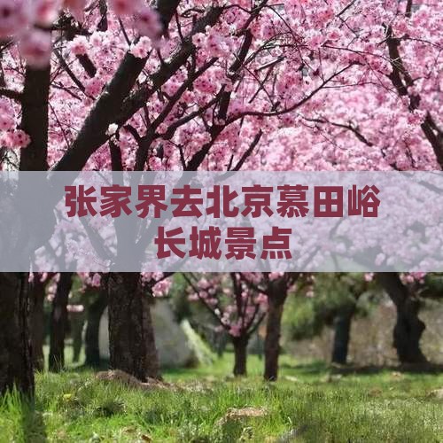 张家界去北京慕田峪长城景点
