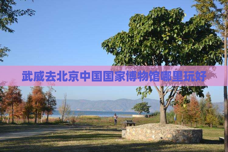武威去北京中国国家博物馆哪里玩