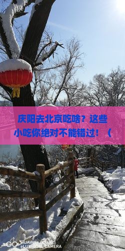 庆阳去北京旅游小吃