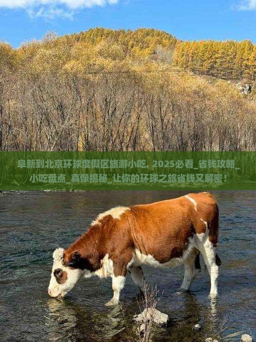 阜新到北京环球度假区旅游小吃
