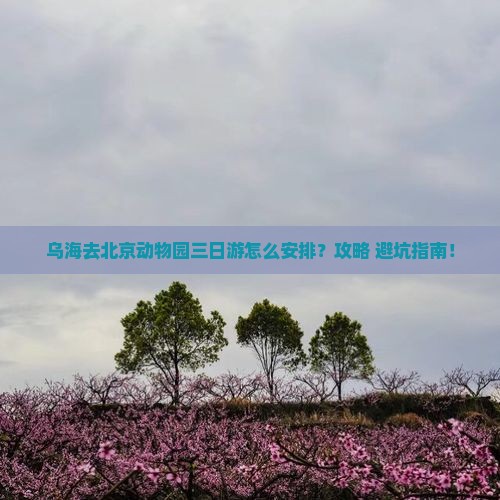 乌海去北京动物园三日游