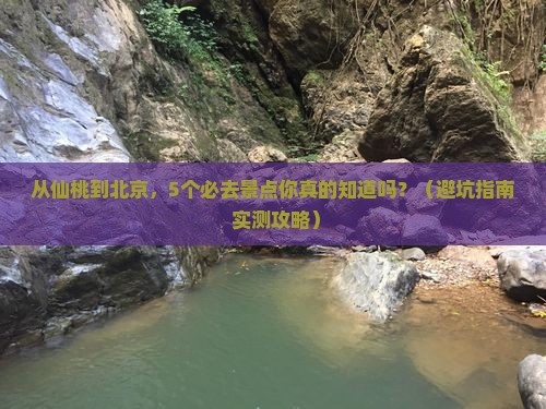 仙桃去北京景点