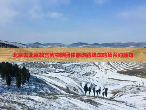 北京去北京故宫博物院团体旅游