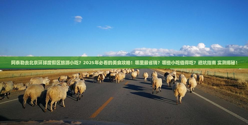 阿泰勒去北京环球度假区旅游小吃