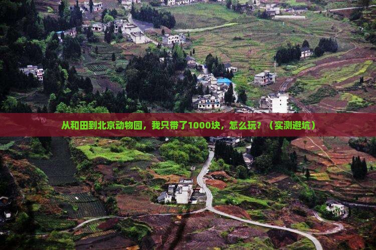 和田去北京动物园个人游