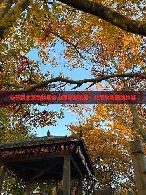 毕节到北京动物园自由团