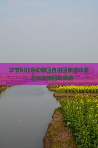 毕节到北京动物园自由团