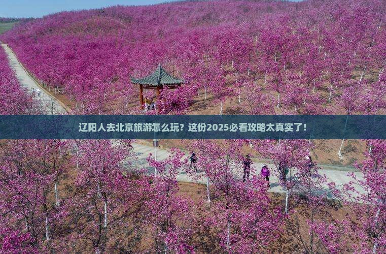 辽阳去北京旅行社