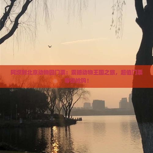 阿坝到北京动物园门票