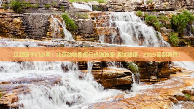 辽源到北京动物园团体旅游