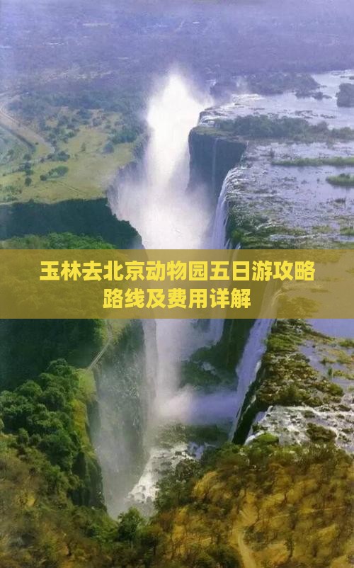 玉林去北京动物园五日游